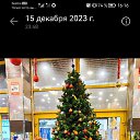 ���� ��������, �����-���������, 49 ��� - ��������� 17 ������� 2023