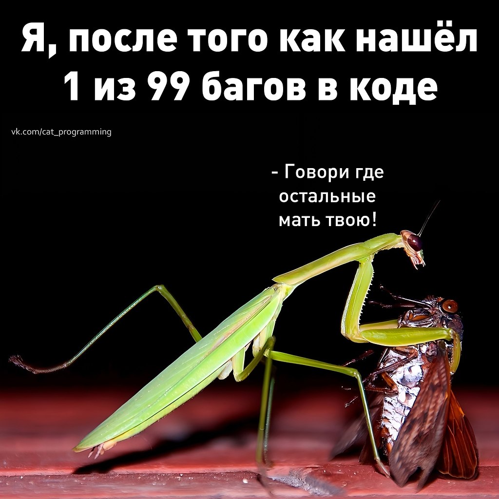 /zev/null - 29  2025  08:21