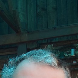 , 59, 