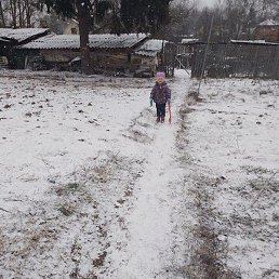 ������, ������, 37 ���