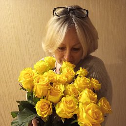 ��������, �������, 53 ����