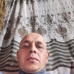 , 37, 