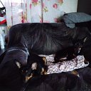 ���� ����, ������, 53 ���� - ��������� 15 ������ 2024 � ������ ���� ����������