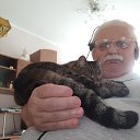 ���� Anatolii, �����, 66 ��� - ��������� 25 ��� 2025