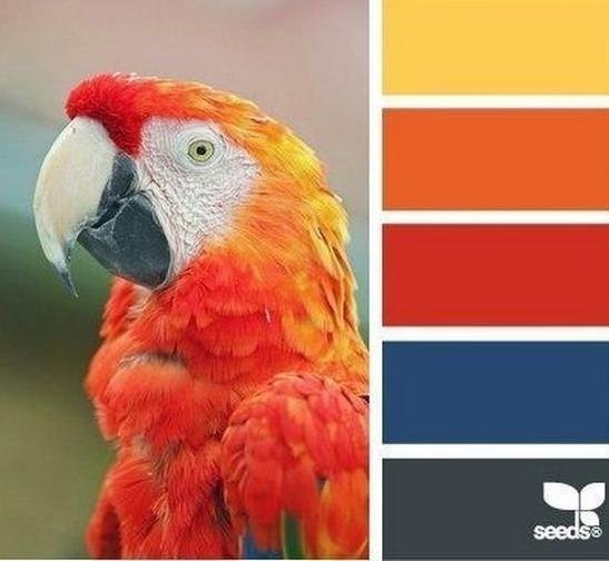 ������������� - 3