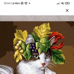 ����, ������, 52 ����