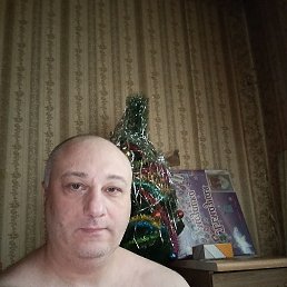 ���� ������, ������, 41 ��� - ��������� 19 ������ 2026