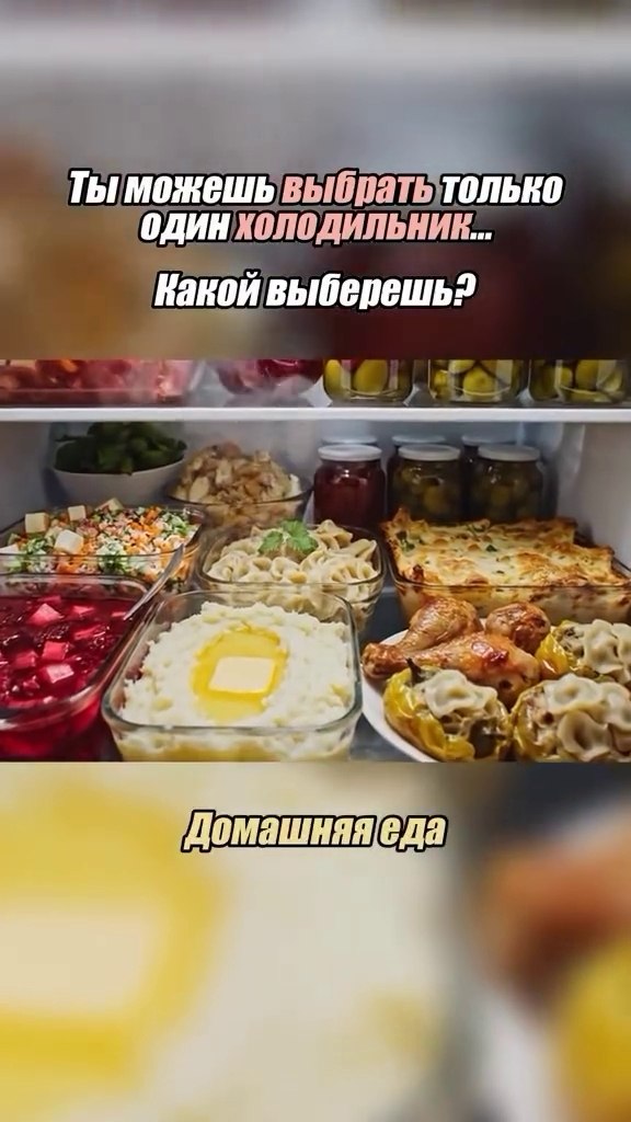 А какой холодильник выбрали бы вы, если бы только этот холодильник был бы у вас до конца жизни?