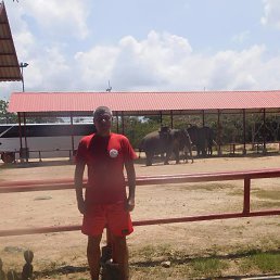 ���� ��������, ������, 57 ��� - ��������� 26 ������� 2025