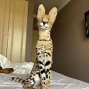 ���� ������, ������ - ��������� 5 ��� 2025 � ������ ������ ��������