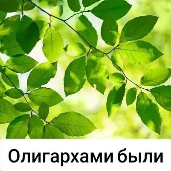 ���� ���� ����� ������� �������������� ������� - 17 ������� 2025 � 14:32 - 5