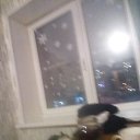 ���� ���������, ������, 39 ��� - ��������� 16 ������ 2024 � ������ ���� ����������