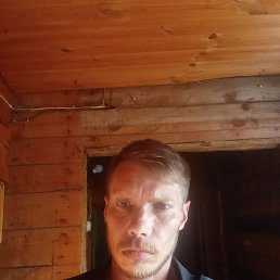 , 41 , 