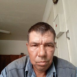 , 55,  