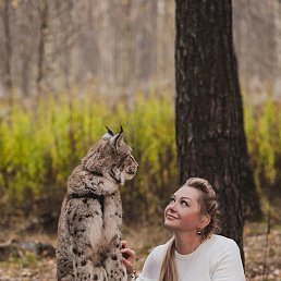 ����������, ������, 54 ����