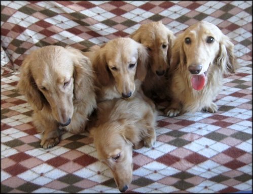  zov - 1  2025  22:27