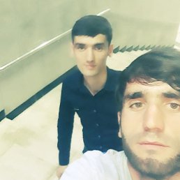 , 33, 