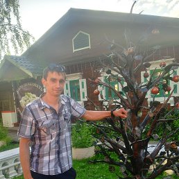 ���������, 34 ����, �����������