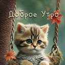 ���� �����, �������, 51 ��� - ��������� 31 ������� 2024 � ������ ���� ����������