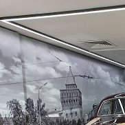 ����, 44 ����, ���������