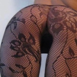 ����, ������, 41 ���