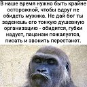 ���� ����, ������� - ��������� 28 ������ 2024 � ������ ���� ����������
