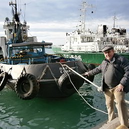 ��������, ����, 67 ���