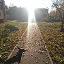 ���� ����, ��������, 38 ��� - ��������� 12 �������� 2024 � ������ ���� ����������