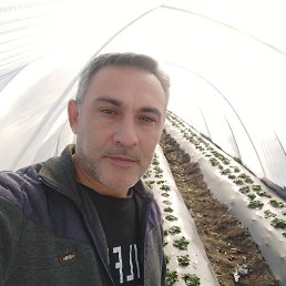 ���� �, ������, 45 ��� - ��������� 12 ������ 2024