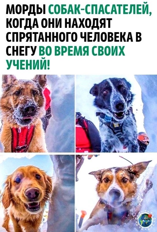 ae cace, o cac eoea!