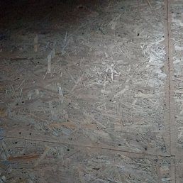 �����, �������, 45 ���