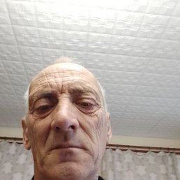 , 59, 