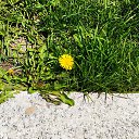 ���� ��������, �����������, 46 ��� - ��������� 22 ������� 2025 � ������ ���� ������ 2025�