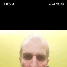 ����, 41 ���, ���������