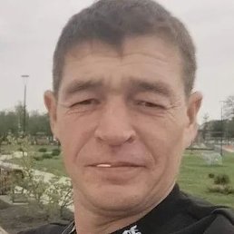 ��������, ������-��-����, 41 ���