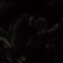 , , 41 