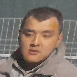 ������, �������, 37 ���