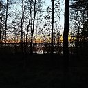 ���� ��������, �����-���������, 52 ���� - ��������� 1 ��� 2026 � ������ �������
