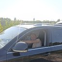 ���� ������ �������, ������� �����, 37 ��� - ��������� 2 ������ 2026