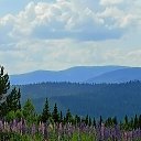 ���� �����, ��������, 78 ��� - ��������� 6 �������� 2026 � ������ ������ ��������