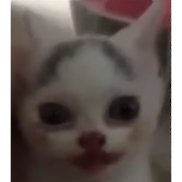 �����, 25 ���, �����������