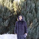 ���� ����, ������, 84 ���� - ��������� 29 ������� 2024