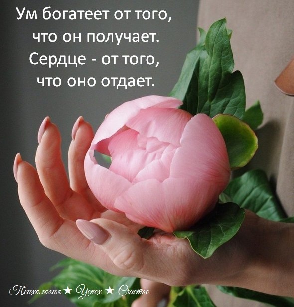 �������� ������ - 12 ���� 2026 � 12:12