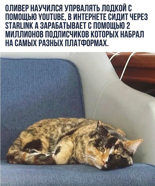 ����� �� ������� - 18 ��� 2025 � 13:21 - 2