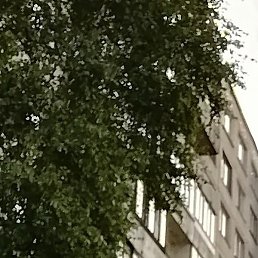 ���������, ������, 47 ���