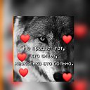 ���� ������, �����-��������� - ��������� 28 ������� 2023 � ������ ���� ����������