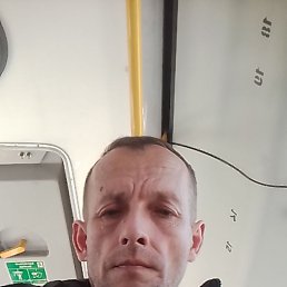 , 41, 