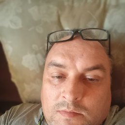 , 43 , 