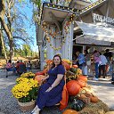 ���� ������, ������, 46 ��� - ��������� 23 �������� 2024 � ������ ���� ����������