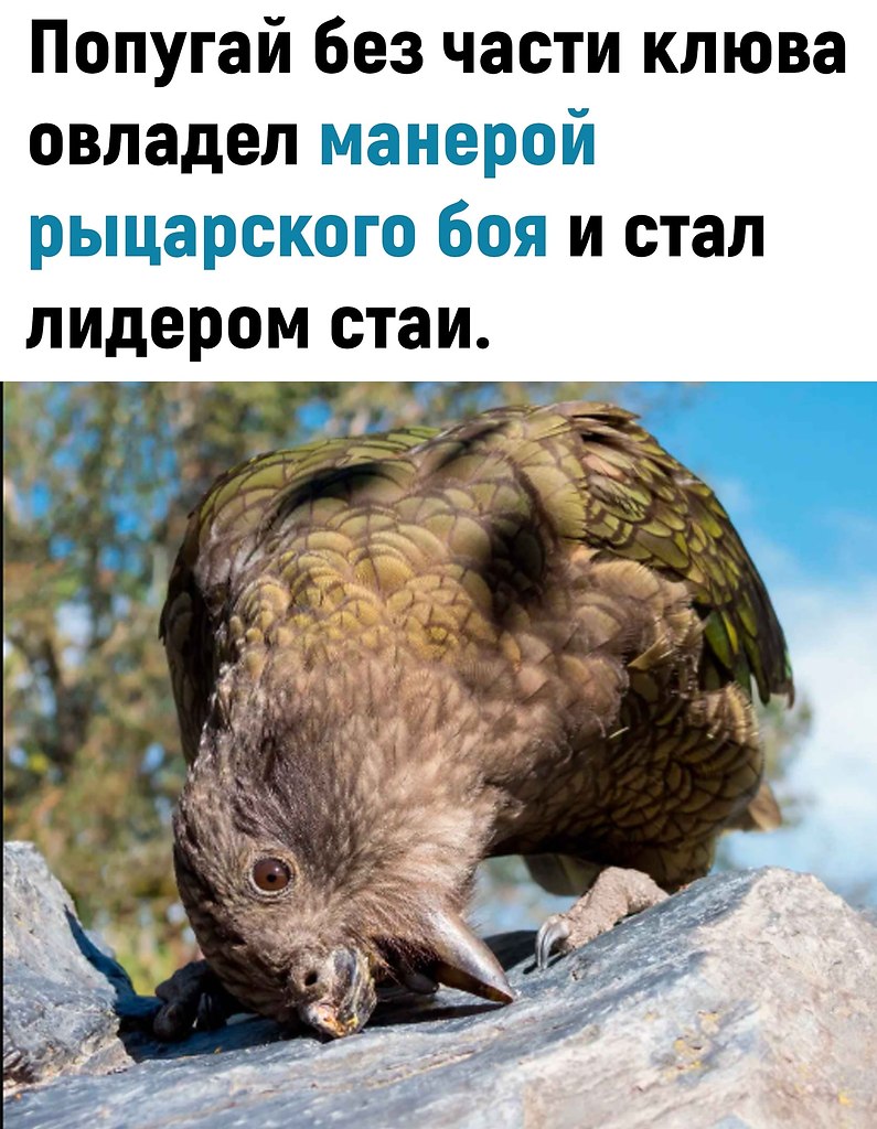 �c�op�� �ea �o ��e�� �p�c c�a�a �p��epo� �o�o, �a� ���o���e c�oco��� a�a���po�a��c� � ������ ...